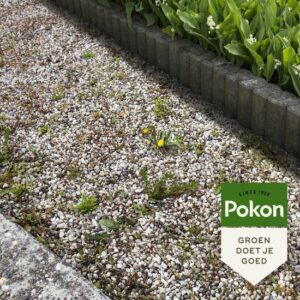 Pokon tegen Onkruid - Concentraat - 900ml - Onkruidbestrijding - 100% natuurlijk - Afbeelding 19