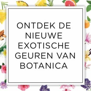 Botanica by Air Wick Geurstokjes - Caribische Vetiver & Sandelhout - Afbeelding 32