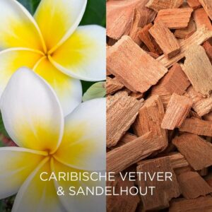 Botanica by Air Wick Geurstokjes - Caribische Vetiver & Sandelhout - Afbeelding 34