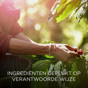 Botanica by Air Wick Geurstokjes - Caribische Vetiver & Sandelhout - Afbeelding 41