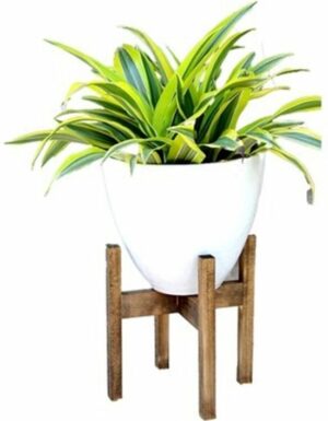 Bienwood, houten bloempotstandaard, set van 2, houten bloempot, bloemenstandaard - Afbeelding 4